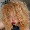sarawiderllok