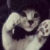 tzki_342