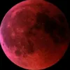 https_tevio