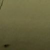 fadia.aa13