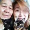 meetungchannel