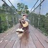 ghumais_09