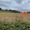 dorsetdude1