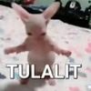 ibzldjn