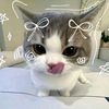 rinafadiaa