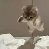 逆ガミー