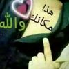 dywlnz56qatc