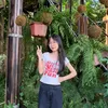 cungw_ne
