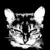 user87062134510