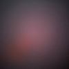 rashadhiggins6