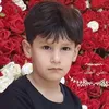 alialmalik18