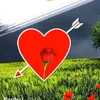 guli.rash910