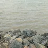 reauiin