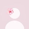 girl._assi