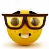 nerd.inteligent3