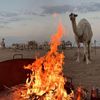 ظافر النفيعي