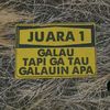 Nasution