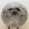 mymommademedeletetiktok