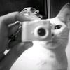 adtyrngg_