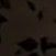 username374822836