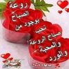 user473937166018morad
