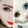 dewitadee