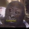 larry_ceecee