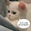 songeunji8