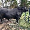 keownfarms