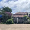 motshi_tilapia22