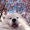 _zaqwsx_1