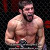 logickickboxer20