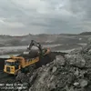 kulitambang801