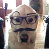 htiiiiii0