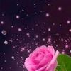 afyptjh4