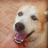 sparklingbluemuffin