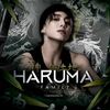 haruma_family