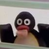 kloptika