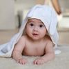 guide_nongguide