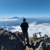 tonggo803