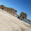 aml__1.3