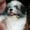 coco07223