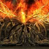 thebedofchaos