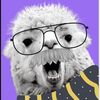 duckyzoo