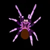 .spiders_tiktok