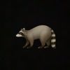 shame_full_raccoon