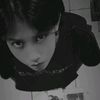 dwo.cici