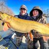 wnybowhunter