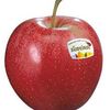 aarontheapple098