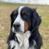 keatheberner
